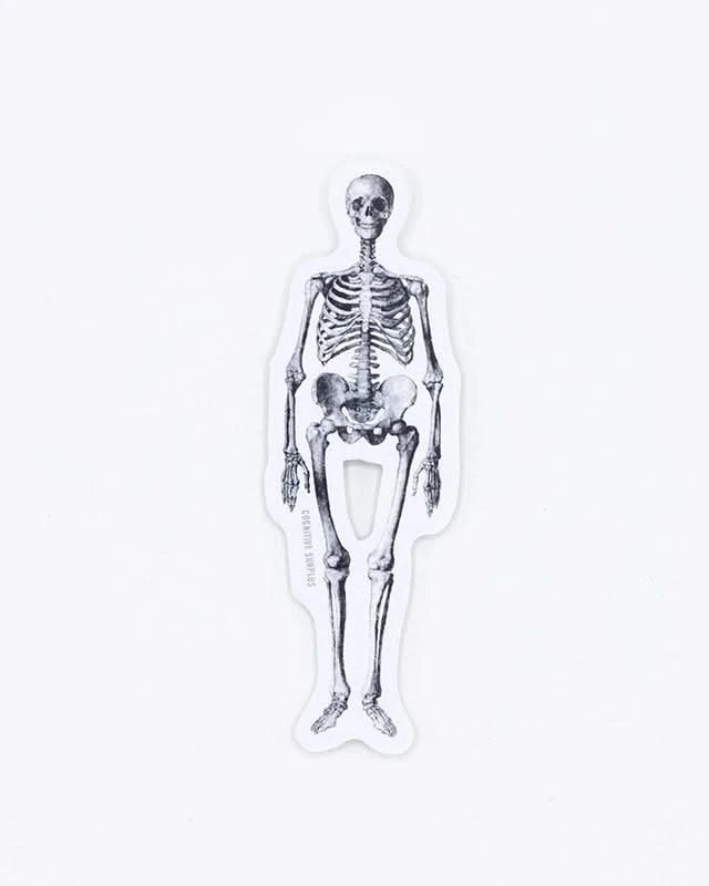 Skeleton Sticker