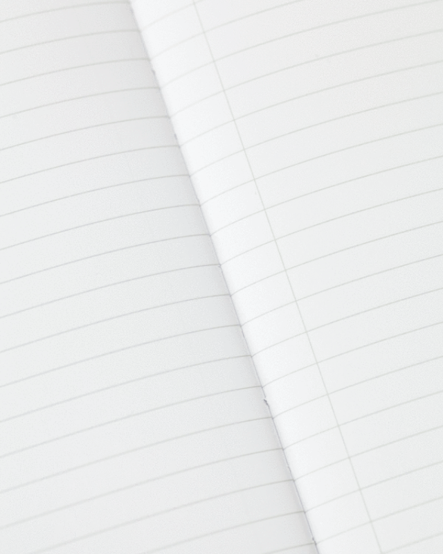 Cognitive Surplus, Lined constellations notebook, ruled pages open