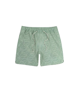 Jetty Bayside Pool short in sage green, flat lay front view