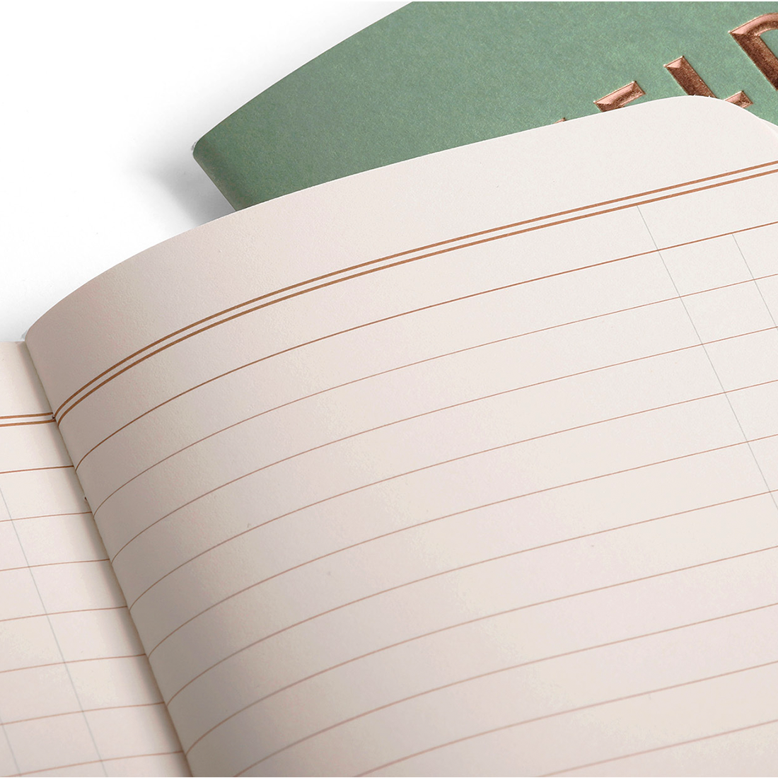 Lucky Field Notes 3-pack open showing ruled ledger pages -- The Simple Man