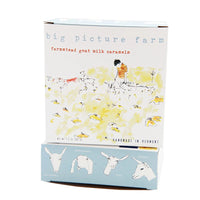 Big Picture Farm Many Fields Farmstead Goat Milk Caramels box with top and side view white background — 8 flavor classic mix handmade Vermont caramels