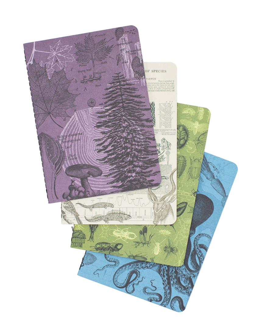 Fan arrangement of Natural Science Pocket Notebooks showing nature-inspired covers in purple, cream, green, and blue – eco-friendly stationery from The Simple Man