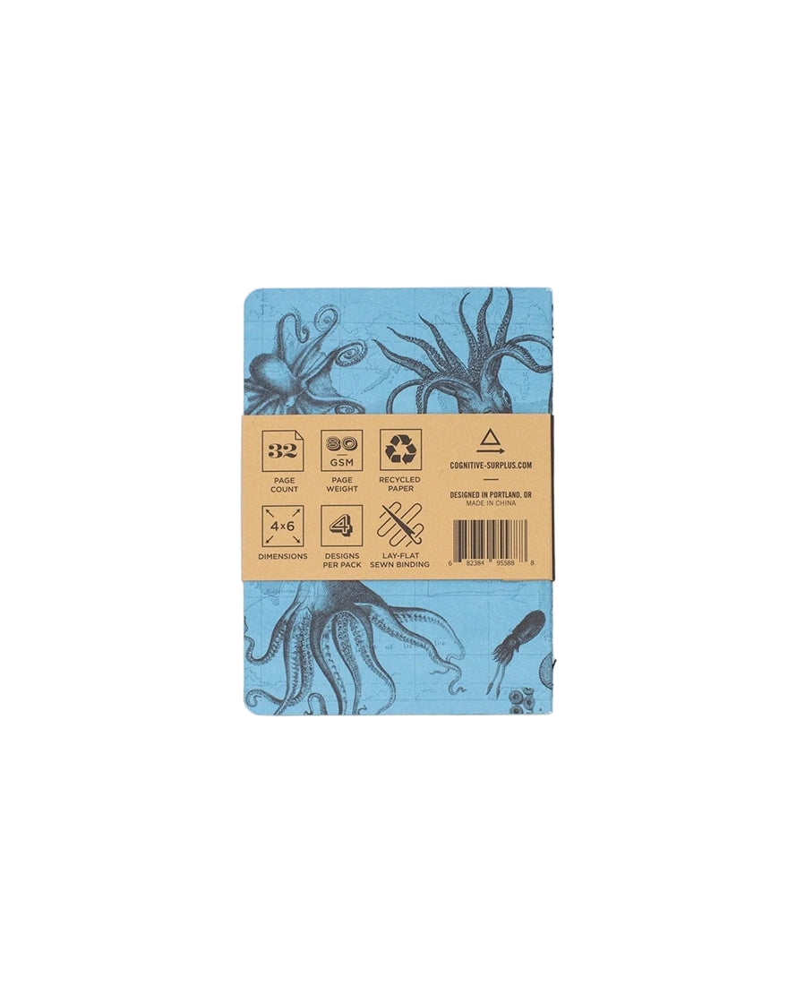 Back view of blue Cephalopod cover from Natural Science Notebook 4-pack with recycled paper and soy ink icons