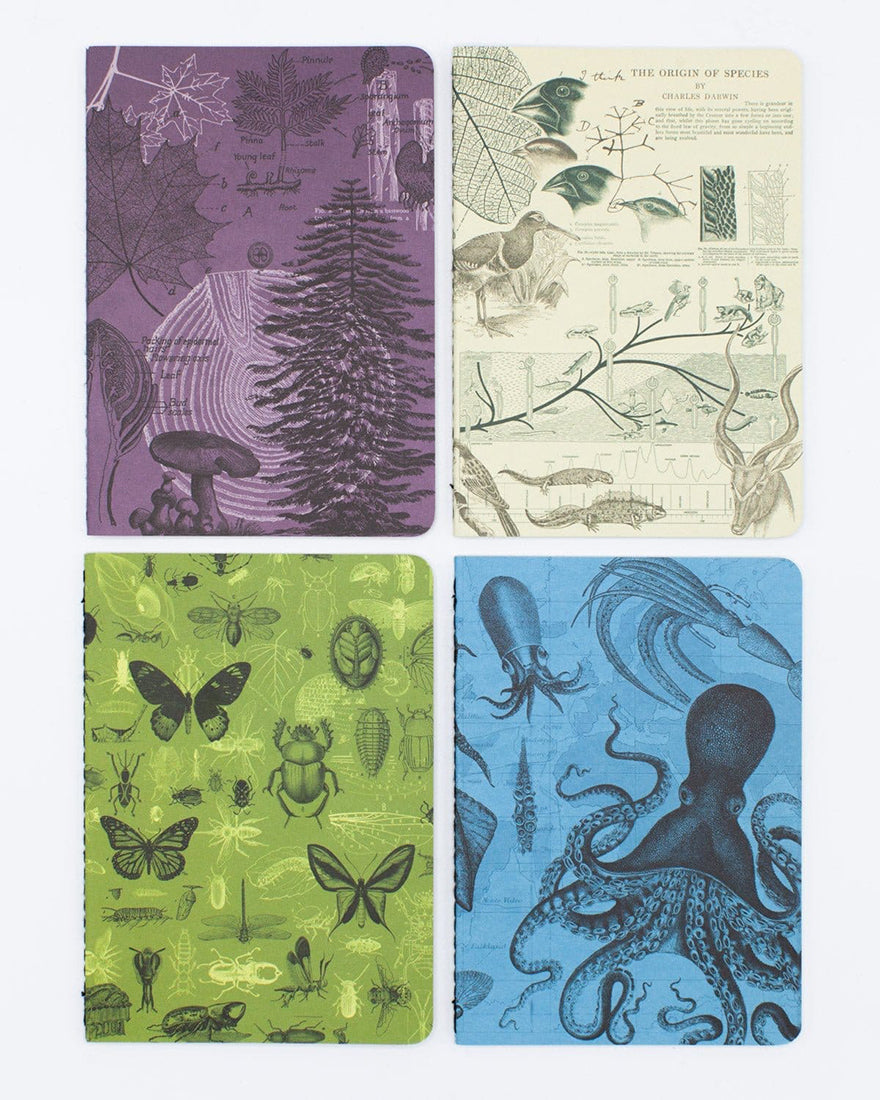Four Natural Science Pocket Notebooks laid flat showing cover designs: Forest at Dusk, Evolution, Insects, and Cephalopods