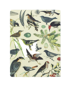 Front cover of Ornithology Birds Hardcover Notebook featuring vintage bird illustrations and eggs – 7x9 eco notebook at The Simple Man