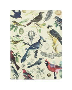 Back cover of Ornithology Birds Hardcover Notebook showing detailed vintage bird and egg artwork – sustainable gift for bird lovers from The Simple Man