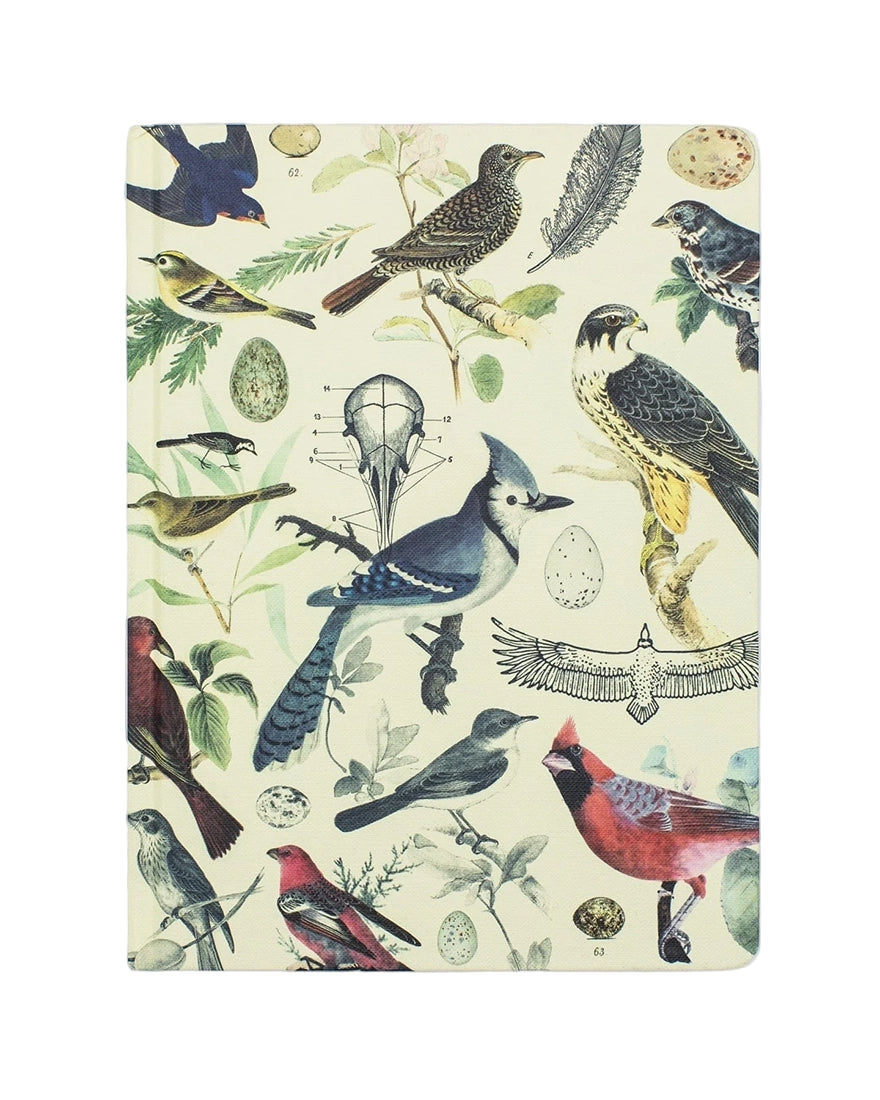 Back cover of Ornithology Birds Hardcover Notebook showing detailed vintage bird and egg artwork – sustainable gift for bird lovers from The Simple Man