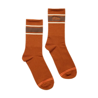 Howler Script Socks in Burnt Orange laid flat, rust orange crew socks with brown and cream stripe and Howler wordmark -- The Simple Man