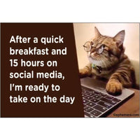 magnet with a cat and a funny phrase