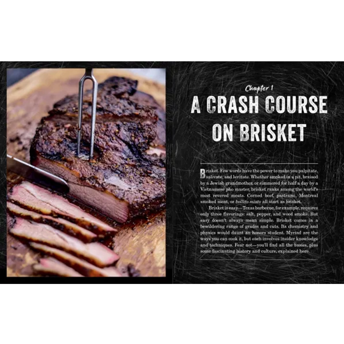 The Brisket Chronicles Steven Raichlen open book showing recipe pages