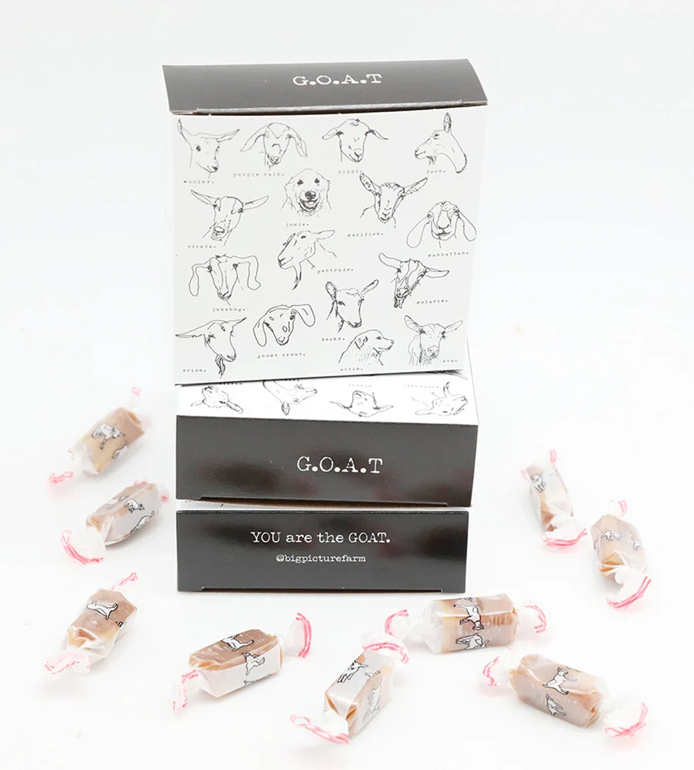 Big Picture Farm G.O.A.T. caramel box open with Sea Salt Vanilla caramels scattered — You Are the GOAT Vermont farmstead goat milk caramels white background