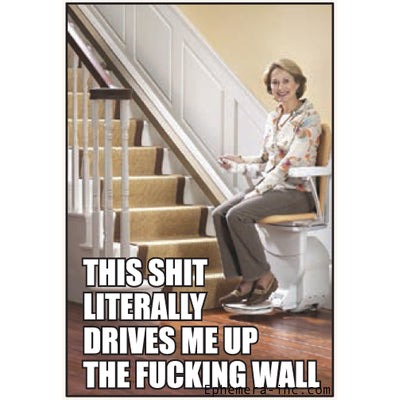 This Sh*t Literally Drives Me Up the F*cking Wall-Magnet