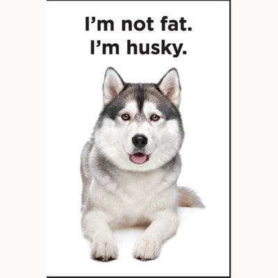I'm not fat, I'm Husky-Magnet