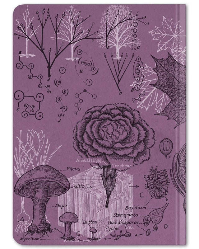 Mini Hardcover notebook in dot grid with forest cover rear view