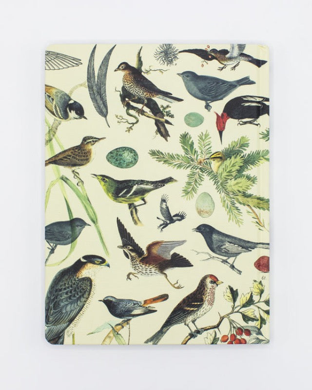 Ornithology: Birds Hardcover Notebook - Lined/Grid