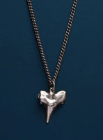 Shark tooth Pendant in sterling silver on oxidized sterling silver chain