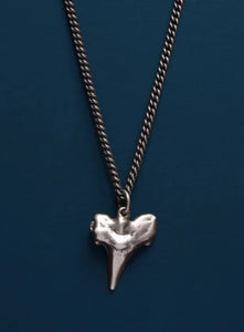 Shark tooth Pendant in sterling silver on oxidized sterling silver chain